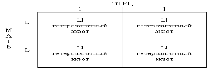 Генетика