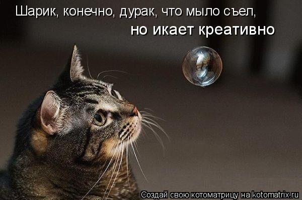 Ура!! Пятница - котоматрица!!! Ура!! Пятница - котоматрица!!!