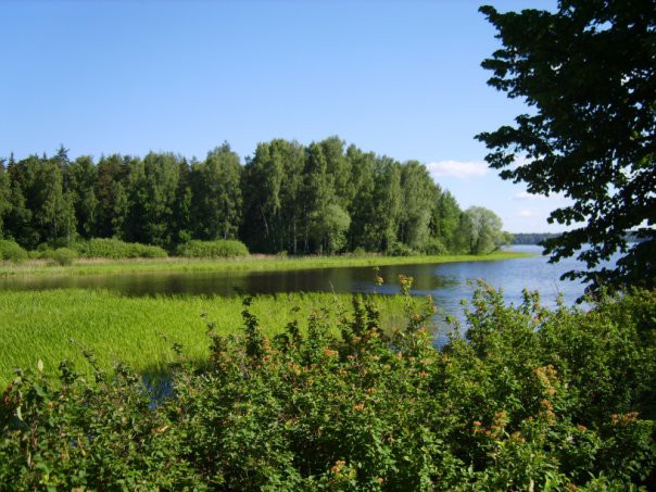 Посёлок Акулово москва, подмосковье, посёлок, уникальность