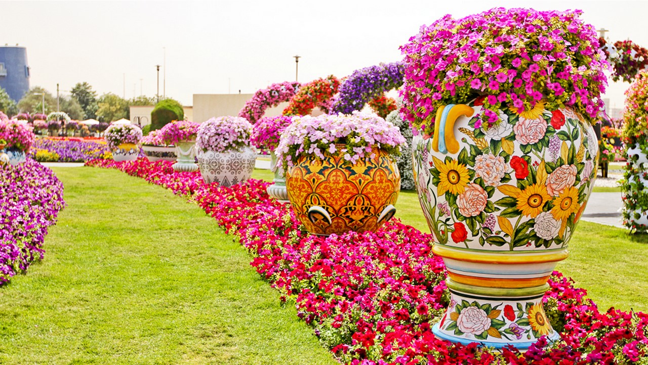 Фантастический  цветочный парк  Дубая Dubai Miracle Garden