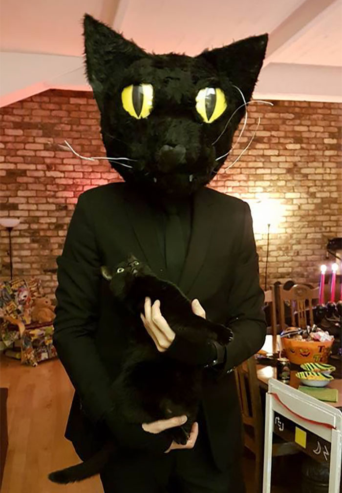 My Buddy Dressed Up As His Cat For Halloween. Look At The Cats Face