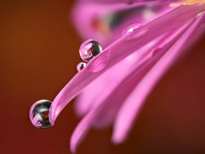 ��������������� John Cogan