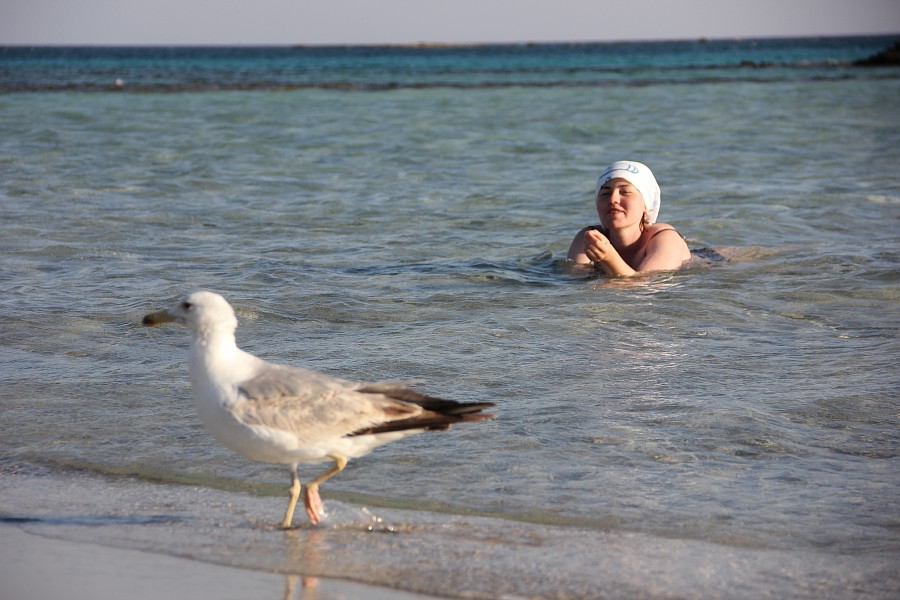 Элафониси, розовые пески, пляж, горы, море, путешествия, фотография, Аксанов Нияз, kukmor, Греция, красота, of IMG_0161