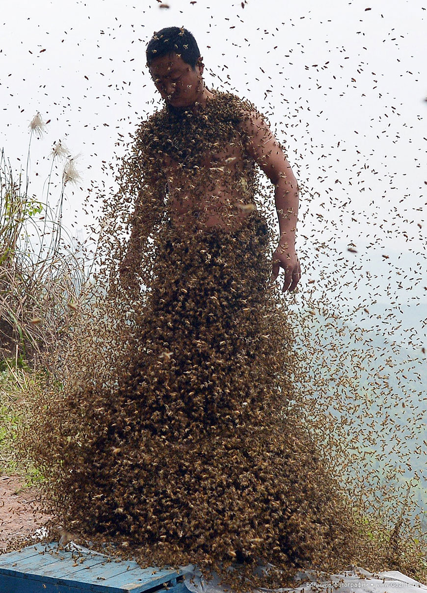Костюм из пчел