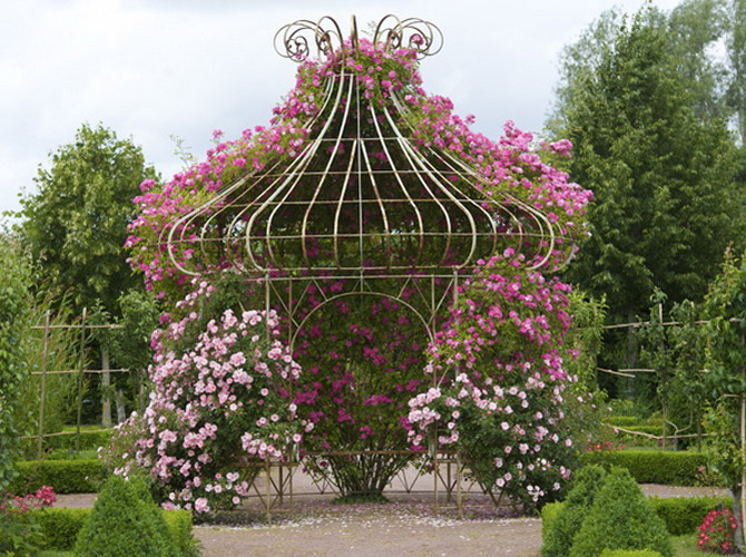 4497432_rosesinparks1 (670x500, 172Kb)