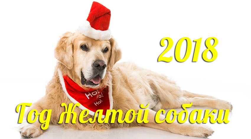 Символ 2018 года. Пусть наступающий год будет таким же шикарным! Символ 2018 года. Пусть наступающий год будет таким же шикарным!