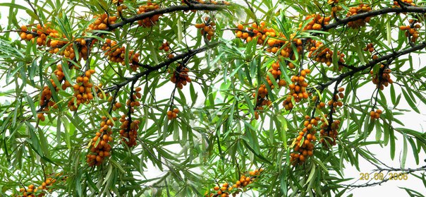 �������� ������ ��������!