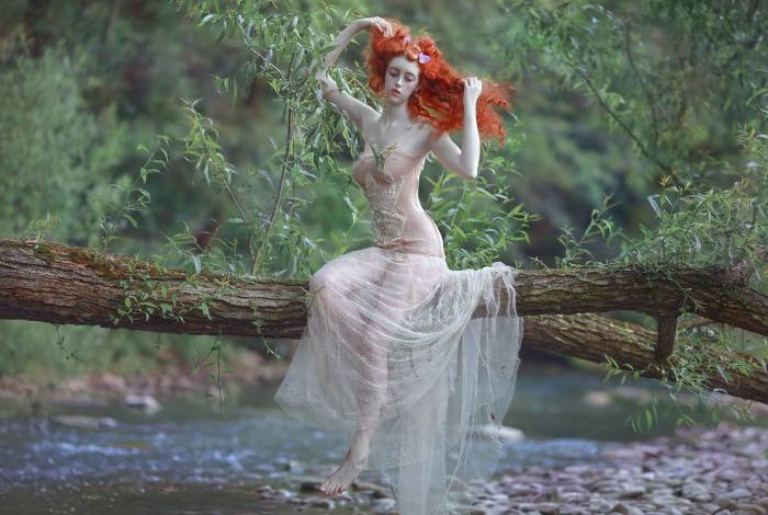 Дерево самоубийц. Автор Agnieszka Lorek. Дерево самоубийц. Автор Agnieszka Lorek.