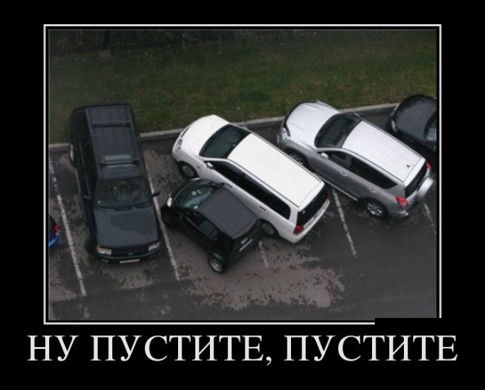 Ничему тебя, мишка, жизнь не учит...
