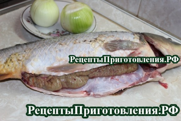 сазан как вкусно приготовить видео сазан как вкусно приготовить видео