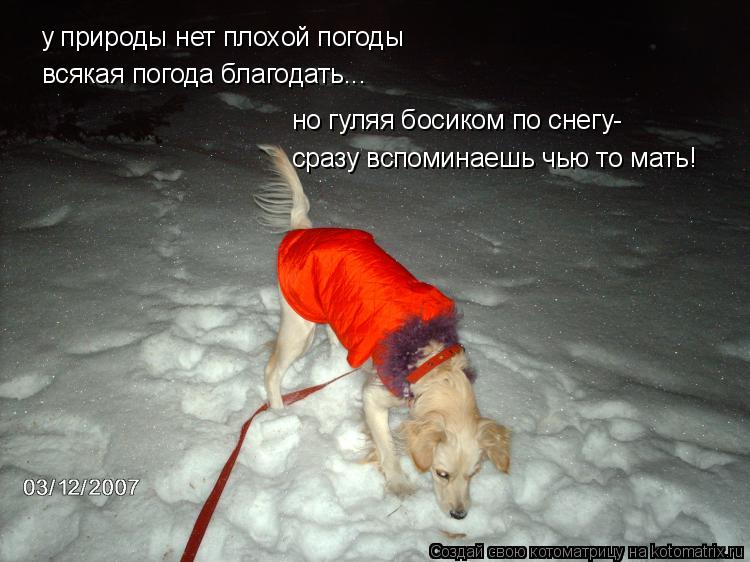 У природы нет плохой погоды...