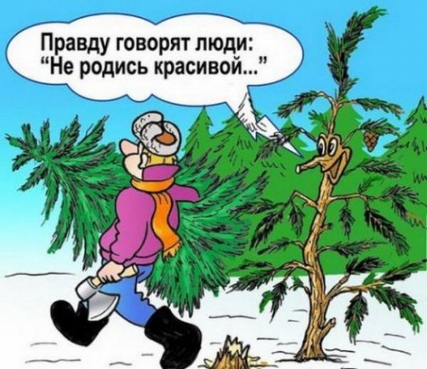 Подборка современных новогодних карикатур Подборка современных новогодних карикатур