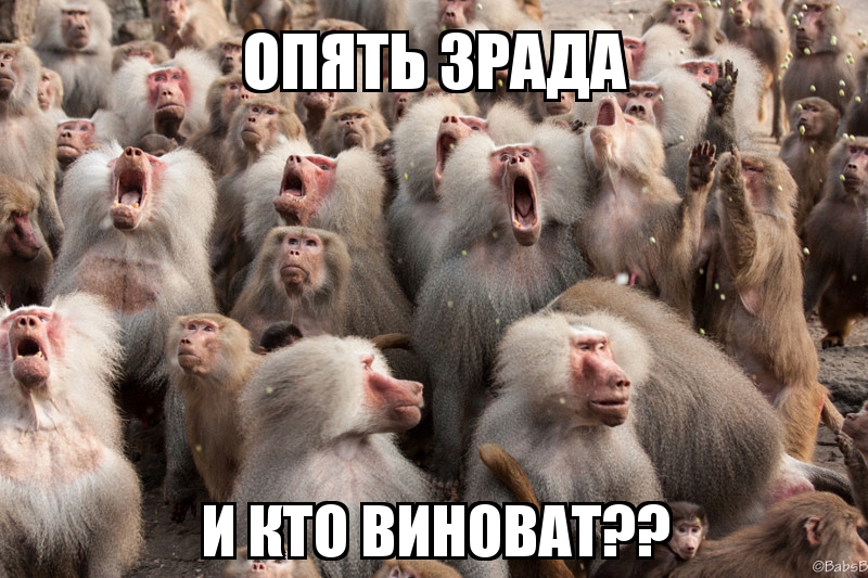 Закон и порядок в США