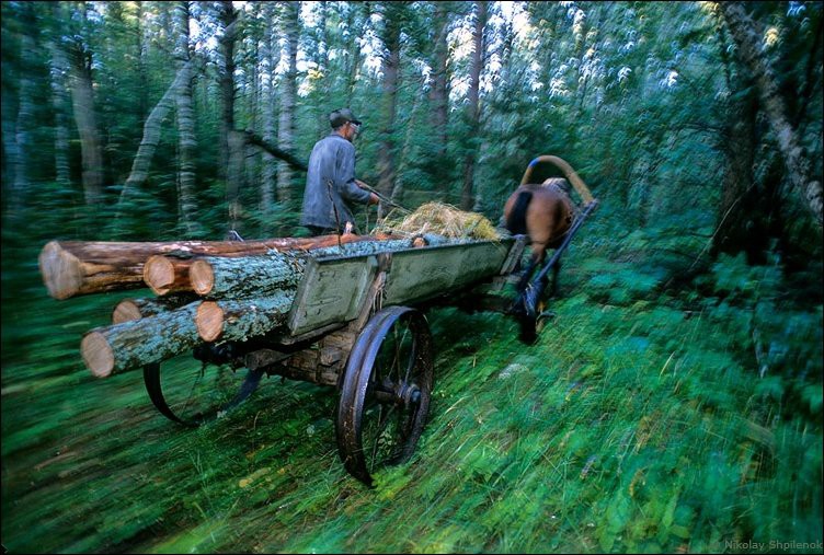 Деревня, в которой остановилось время еда, история, политика, ссср, факты