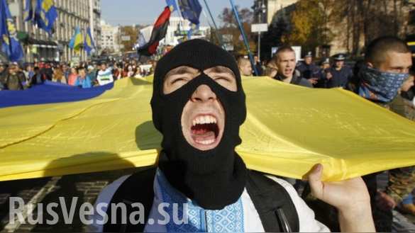 Немецкие СМИ: Западной Украине грозит гражданская война | Русская весна