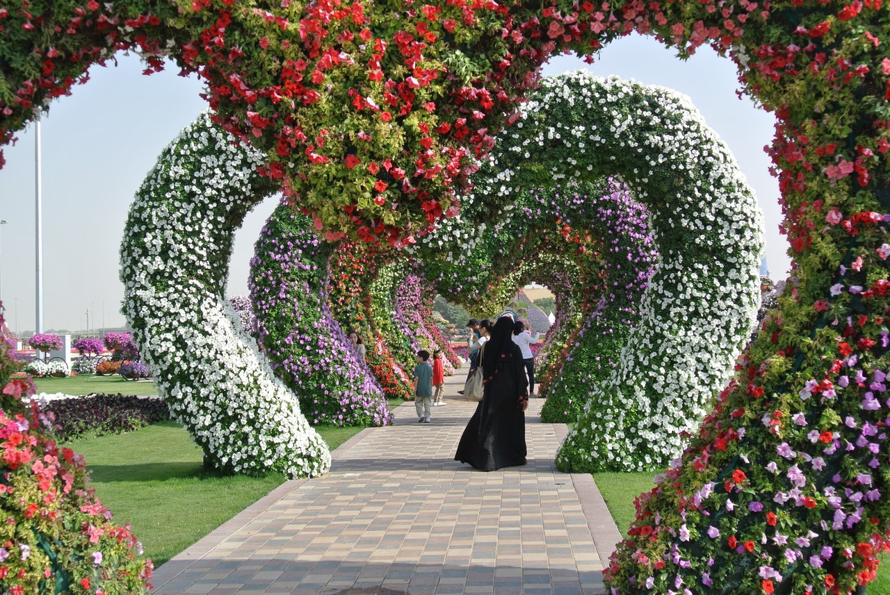 Фантастический  цветочный парк  Дубая Dubai Miracle Garden