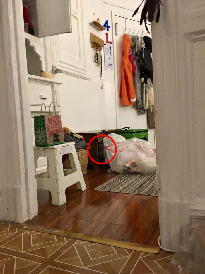 Найди кота