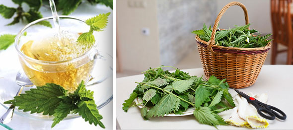 ���� �� ���� �� ������ - �������� ���������� � ������� ������� ��������� �� ����