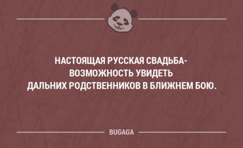 Забавные мысли и высказывания Забавные мысли и высказывания