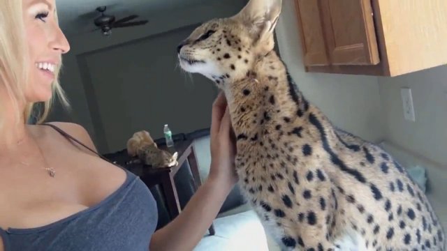 две красотки две красотки