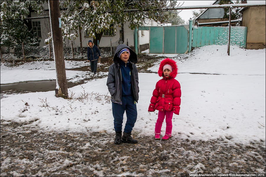 Неожиданная зима в южном Казахстане