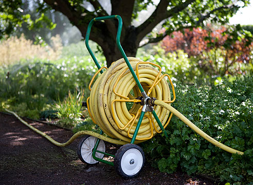 Полив: как правильно?