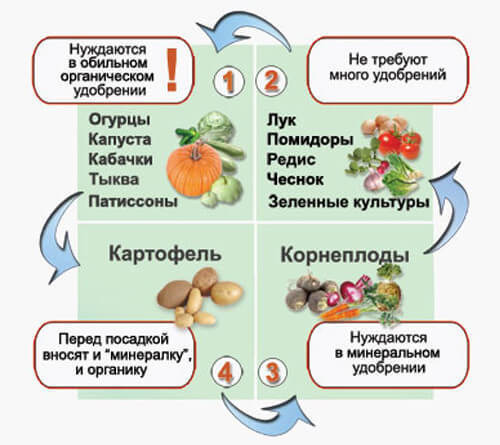 Севооборот на дачном огороде: умный возделывает урожай, а мудрый землю Севооборот на дачном огороде: умный возделывает урожай, а мудрый землю