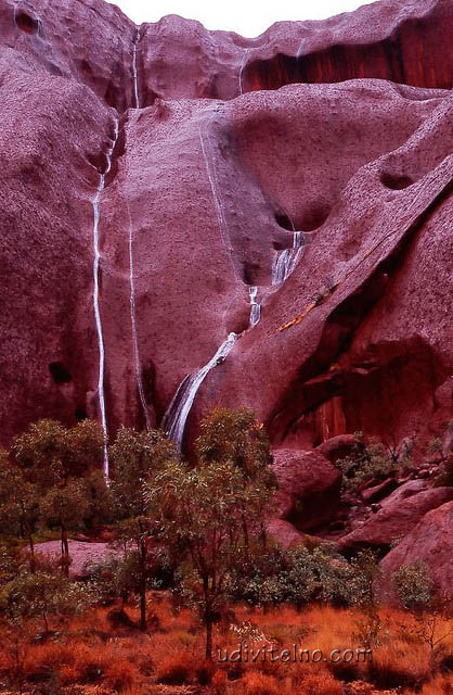 Скала Улуру (Айерс Рок),  Австралия. Фото /Uluru (Ayers Rock), Australia