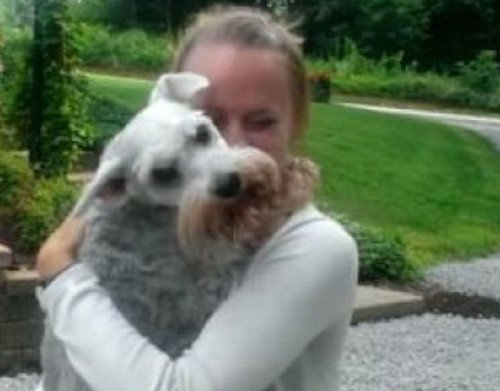 Собачьи истории