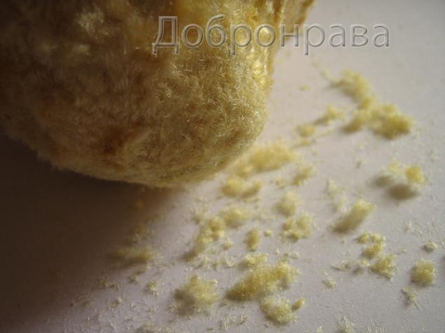 Шьём мишку Тедди. Часть 1 Шьём мишку Тедди. Часть 1