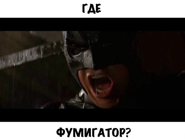 Вот оно какое наше лето!... Вот оно какое наше лето!...