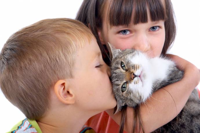 Пять доказанных наукой фактов, что кошки продлевают человеку жизнь