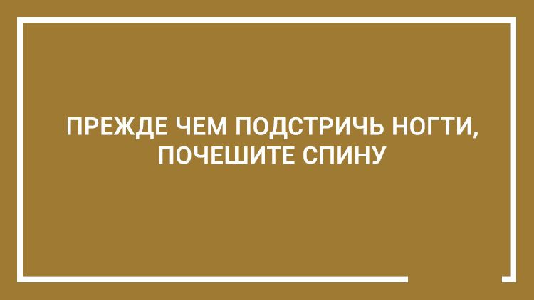 20 дельных советов — этому не учат в школе открытка, совет, юмор