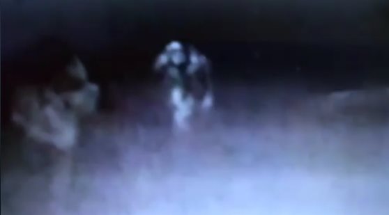 В пабе засняли пугающее существо, подкрадывающееся к посетителю В пабе засняли пугающее существо, подкрадывающееся к посетителю