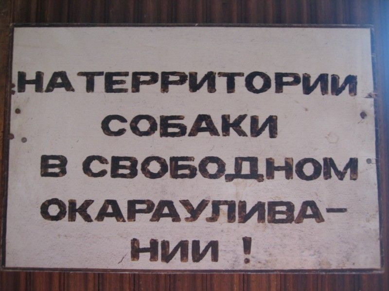 Фото приколы дня :)