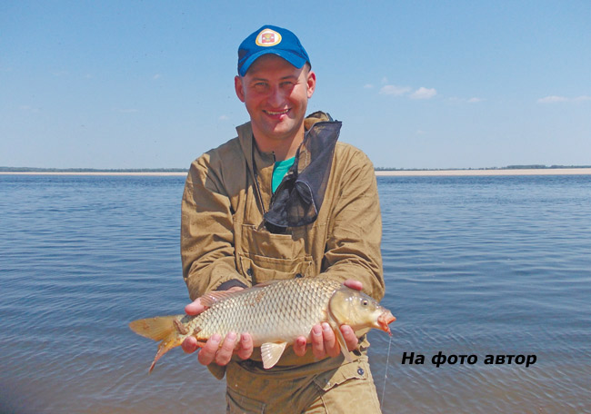 Город 48 новости районов
