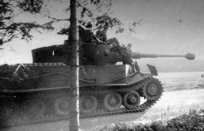 6. Tiger P и Ferdinand от Porsche 6. Tiger P и Ferdinand от Porsche авто, факты