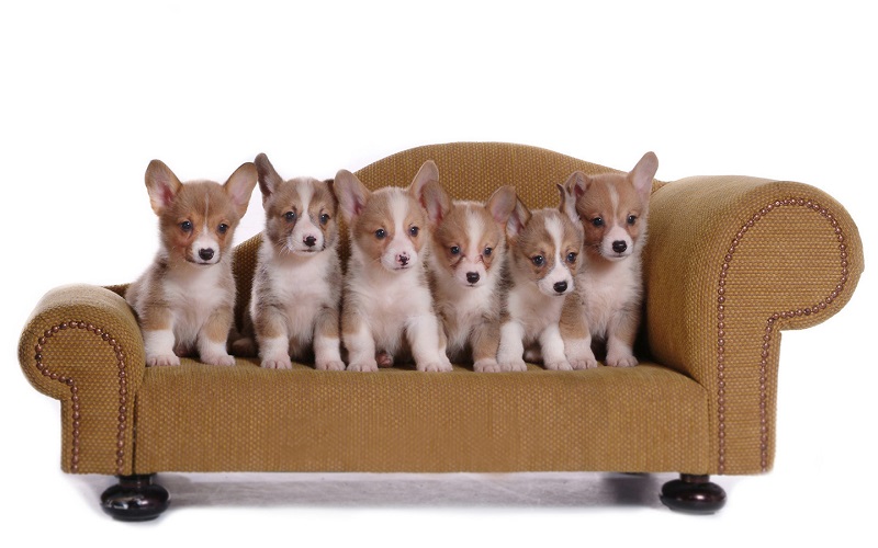 ������ ����� �����-�����. ����