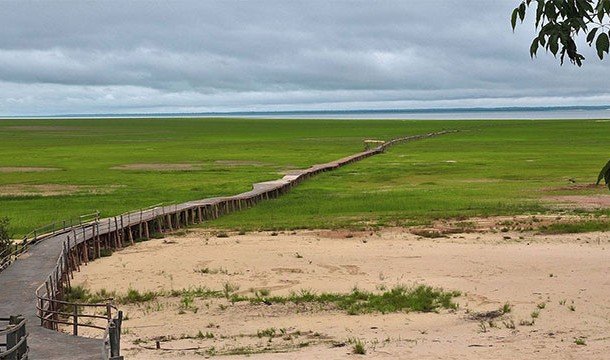 Невероятные факты про Амазонку, которые делают её уникальнейшим местом на Земле