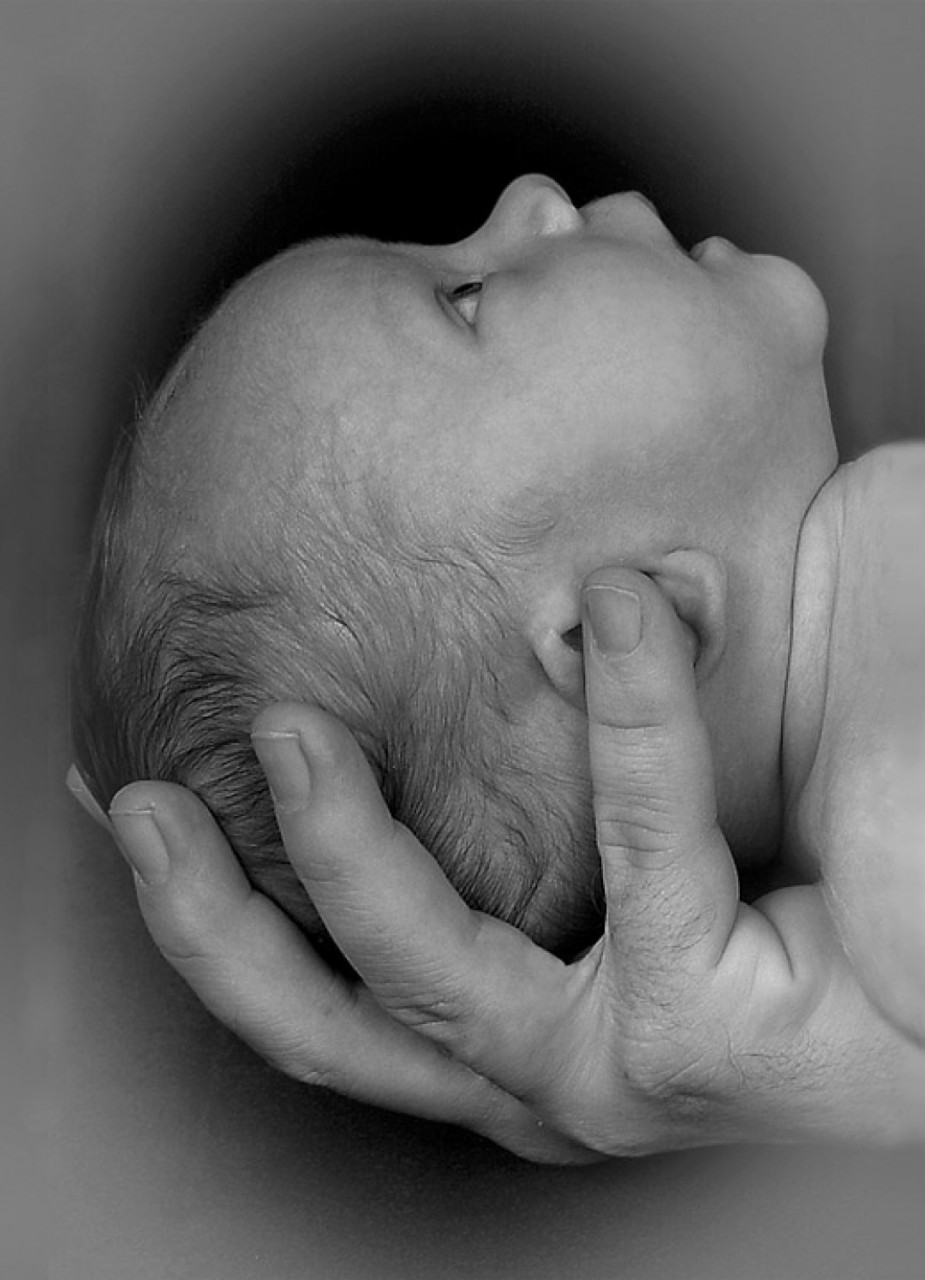 Почему ребенок перестает кричать на руках родителей Почему ребенок перестает кричать на руках родителей