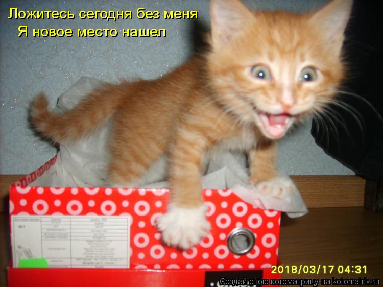 Ура!! Пятница - котоматрица!!! Ура!! Пятница - котоматрица!!!