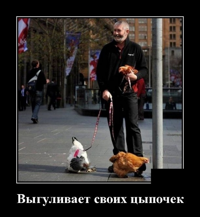 Демотиваторы Демотиваторы