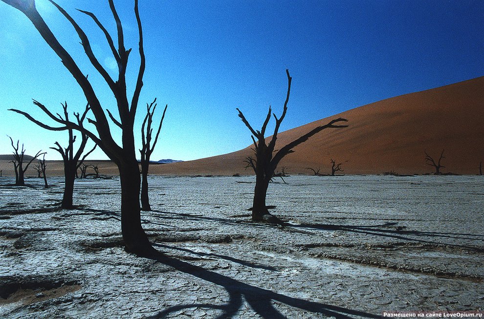 Мертвая долина в пустыне Намиб