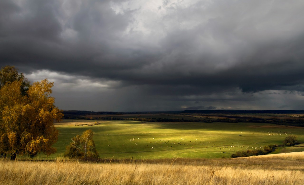 Впечатляющие фотографии грозы весна, гроза, фото