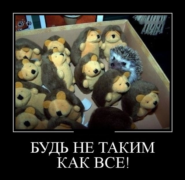 Демотиваторы Демотиваторы