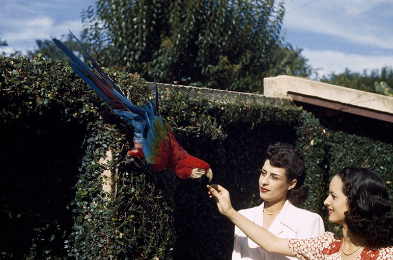 70.       . , 1944 national geographic, , , 