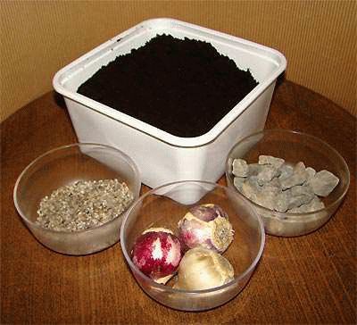 ������� ��������� � 8 �����