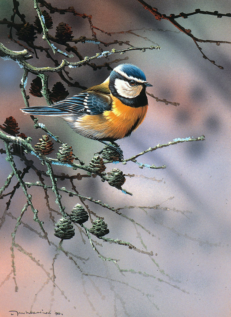 Художник Jan Weenink. Мир птиц