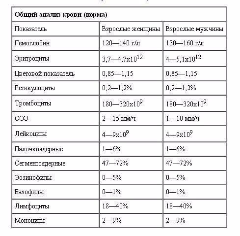 Доступно об общем анализе крови: учимся понимать свои анализы