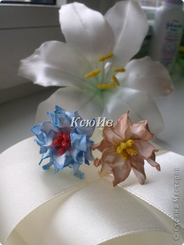 ������-����� ������� ������� �����-���� + �� �����1 ����� ������ ������� ���� ����� ��������� ���� 12